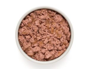 boite alimentation chien chat