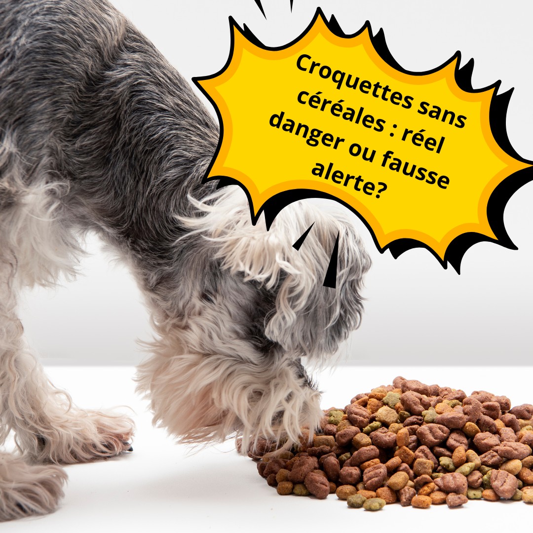 480757002_1008828128063201_7463808318197735985_n